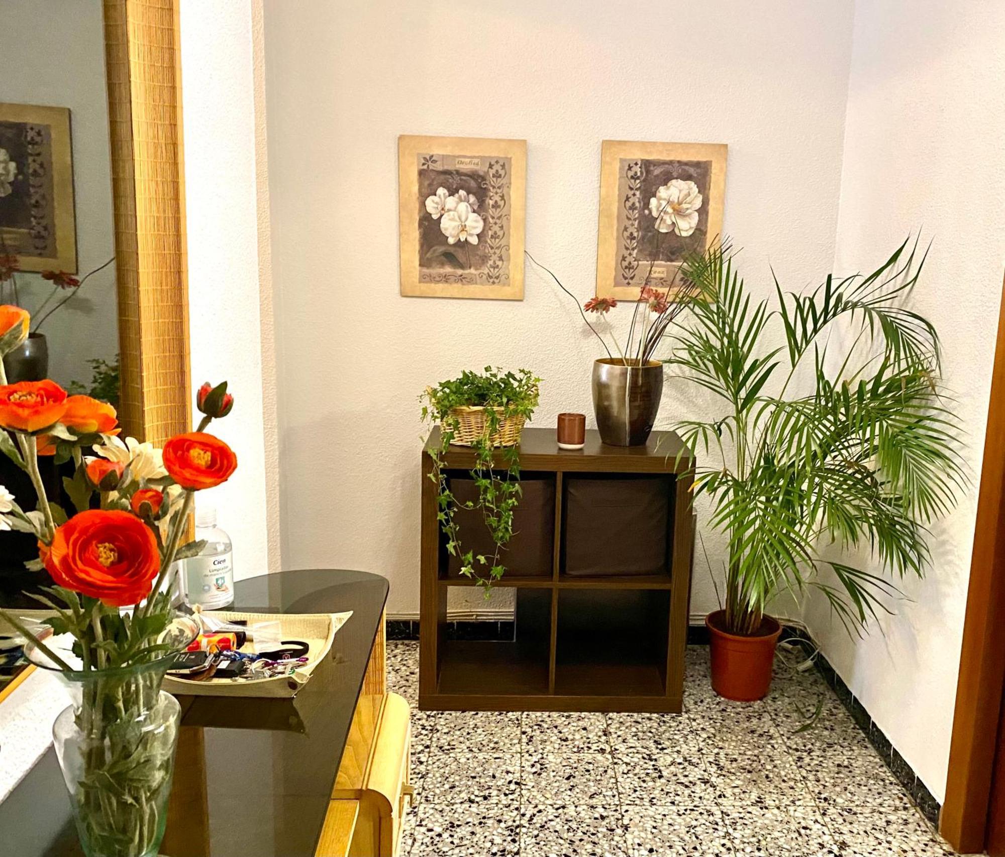 Habitacion My Home 알리칸테 외부 사진